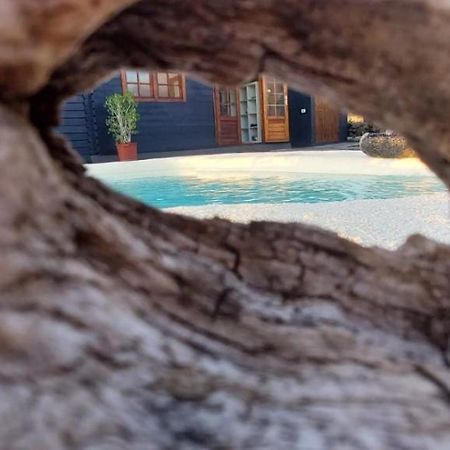 Villa Los Guirres Тасакорте Екстер'єр фото
